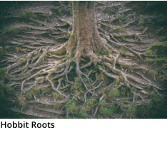 Hobbit Roots