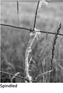 Spindled