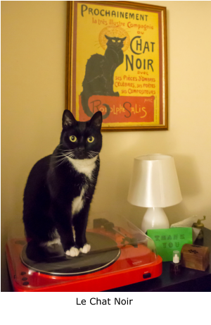 Le Chat Noir