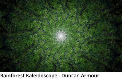 Rainforest Kaleidoscope - Duncan Armour