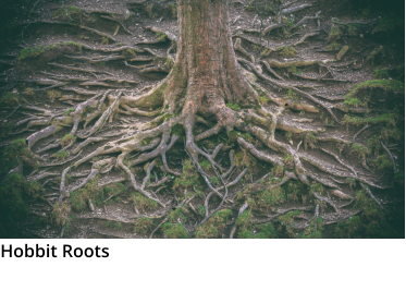 Hobbit Roots