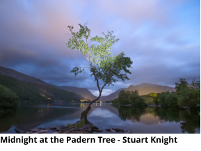 Midnight at the Padern Tree - Stuart Knight